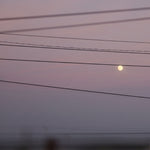 the album cover for Michael DawsonScott - Long Slow Distance