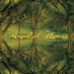 the album cover for Band Of Horses - Everything All The Time (20th Anniversary Edition)