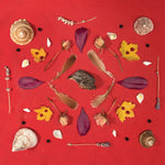 the album cover for Secret Family - Grouse Head Talisman