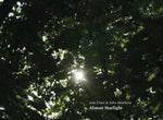 the album cover for Jem Finer/ Matthias,John - Almost Starlight
