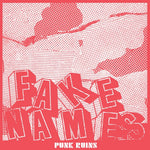 the album cover for Fake Names - Punk Ruins