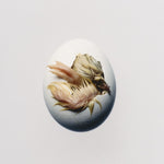 the album cover for Shygirl - SWALLOW!