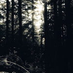 the album cover for Allison Graves - I Still Look For The Mountains