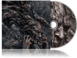 the album cover for Distant - Into Despair