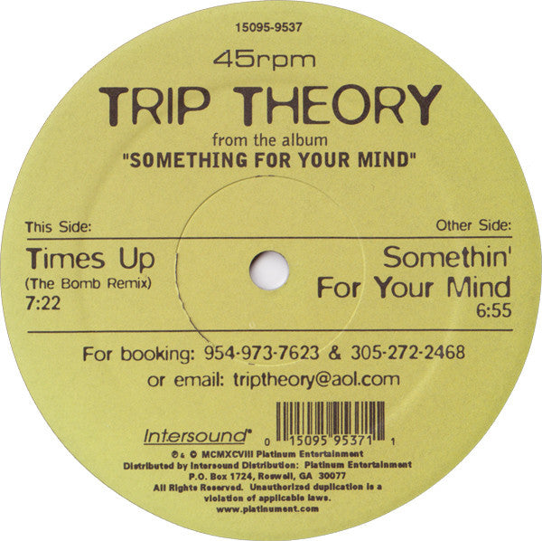Trip Theory : From the Album "Something For Your Mind" (12")