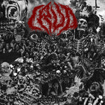 the album cover for Crud - Human Decency