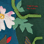 the album cover for Tindersticks - Dog Rose