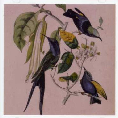 Susumu Yokota - Sakura (CD)