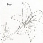 the album cover for Joy - Joy