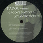 Various : I Am A T-Bone (12")