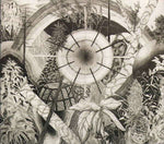 Thee Oh Sees : Dog Poison (CD, Album)