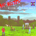 Mr. Mister - Welcome to the Real World (CD)
