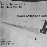 the album cover for Gloryland Ponycat - Black Ants Crawling