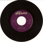 Debbie Taylor : Don't Nobody Mess With My Baby (7")