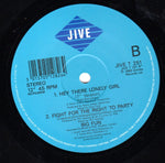 Big Fun : Hey There Lonely Girl (12")