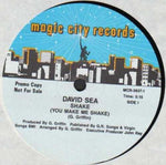 David Sea : Shake (You Make Me Shake) (12", Promo)