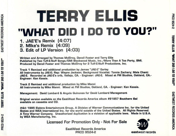 Terry Ellis (2) : What Did I Do To You? (CD, Single, Promo)