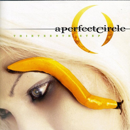 the album cover for A Perfect Circle - Thirteenth Step