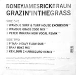 Boney James & Rick Braun : Grazin' In The Grass (12")
