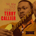 Terry Callier - New Folk Sound of (CD)