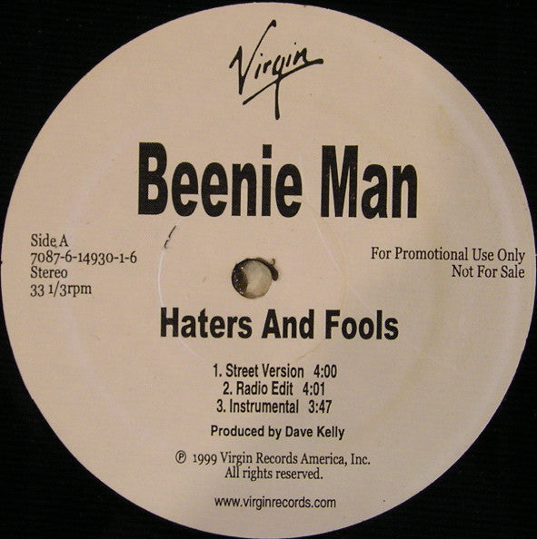 Beenie Man : Haters And Fools / Analyze This (12", Promo)