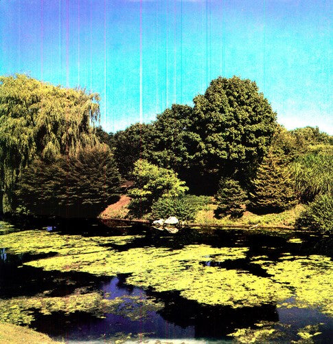 Shellac - Terraform (Vinyl)