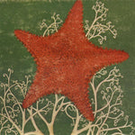 the album cover for Blithe Sons - Arm of the Starfish