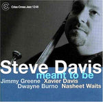 the album cover for Steve Davis - Meant to Be