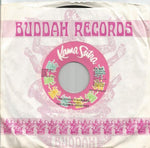 The Flamin' Groovies : Have You Seen My Baby? (7", Single, Promo)