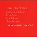 the album cover for Spring Heel Jack - The Sweetness Of The Water