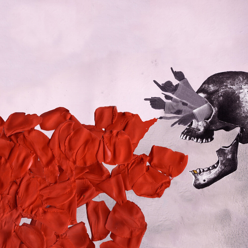 the album cover for Subtle - The Long Vein Of The Law