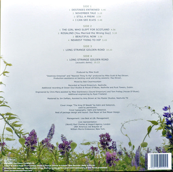 The Waterboys : Modern Blues (2xLP, Album)