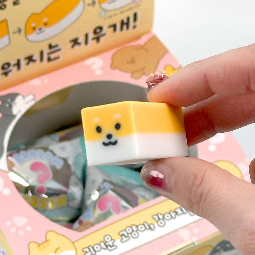 Stretchy Pet Random Eraser – Dog & Cat Characters