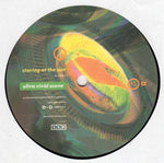 Ultra Vivid Scene : Staring At The Sun (12", Promo)