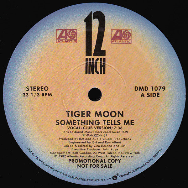 Tiger Moon : Something Tells Me (12", Promo)