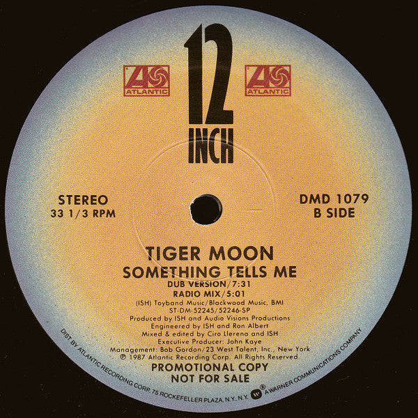 Tiger Moon : Something Tells Me (12", Promo)