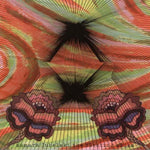 the album cover for Samara Lubelski - Fleeting Skies