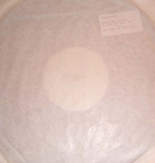 Translucent : Momentary Vision (12", W/Lbl)