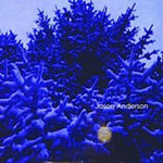 the album cover for Jason Anderson - The Wreath