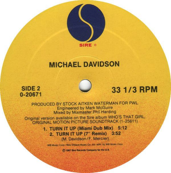 Michael Davidson : Turn It Up (12", Maxi)