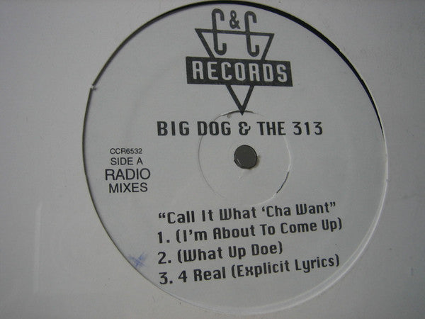 Big Dog* : Call It What'cha Want (12", EP, Maxi)