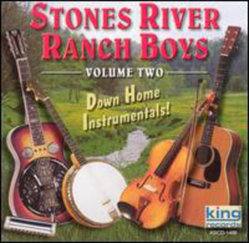 the album cover for Stones River Rance Boys - Down Home Instrumentals, Vol. 2