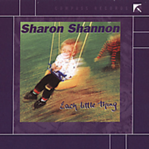 the album cover for Sharon Shannon - Each Little Thing