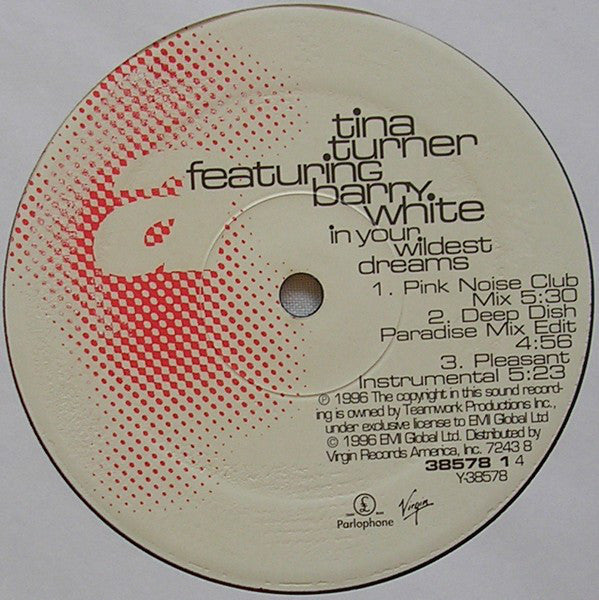 Tina Turner FeaturingBarry White : In Your Wildest Dreams (12")