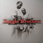 Jungle Brothers : Because I Got It Like That (12", Single)