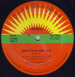 Richelle (3) : Lookin' For My Mind (12")