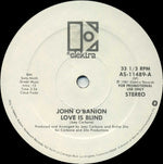 John O'Banion : Love Is Blind (12", Promo, W/Lbl)