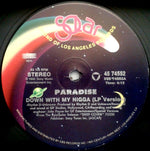 Paradise (4) : Down With My Nigga (12")