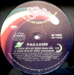 Paradise (4) : Down With My Nigga (12")