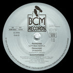 Quadrophenia : Paradise (12", Maxi)